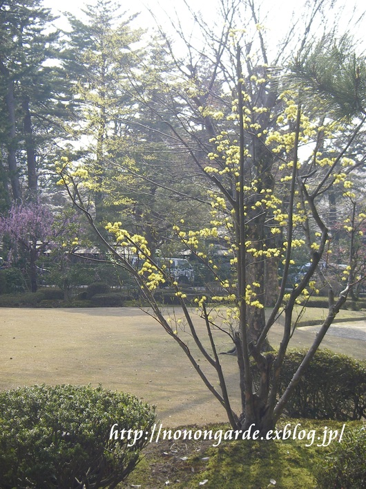 e0286817_21552340.jpg