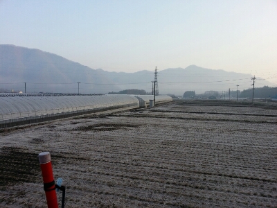 放射冷却_a0256619_6194740.jpg