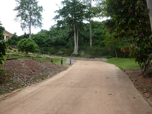 b0208620_2322793.jpg