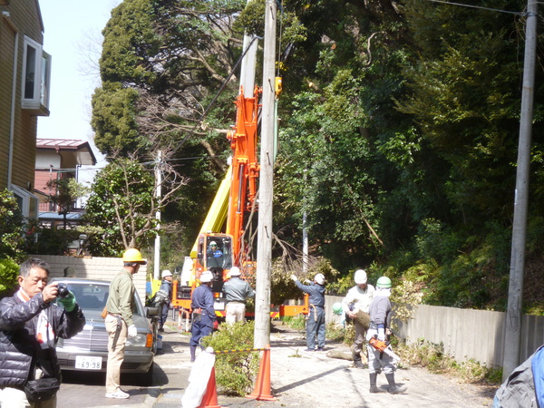 今年の春はおかしい・梨風東緑地のこと　　高野史郎_b0199122_45427.jpg