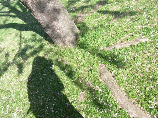 c0221922_21471469.jpg