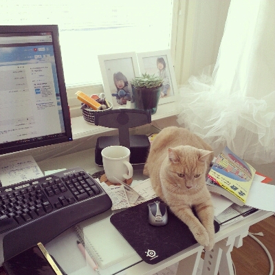 c0252522_2013131.jpg