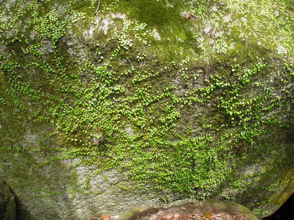 e0242423_5551839.jpg