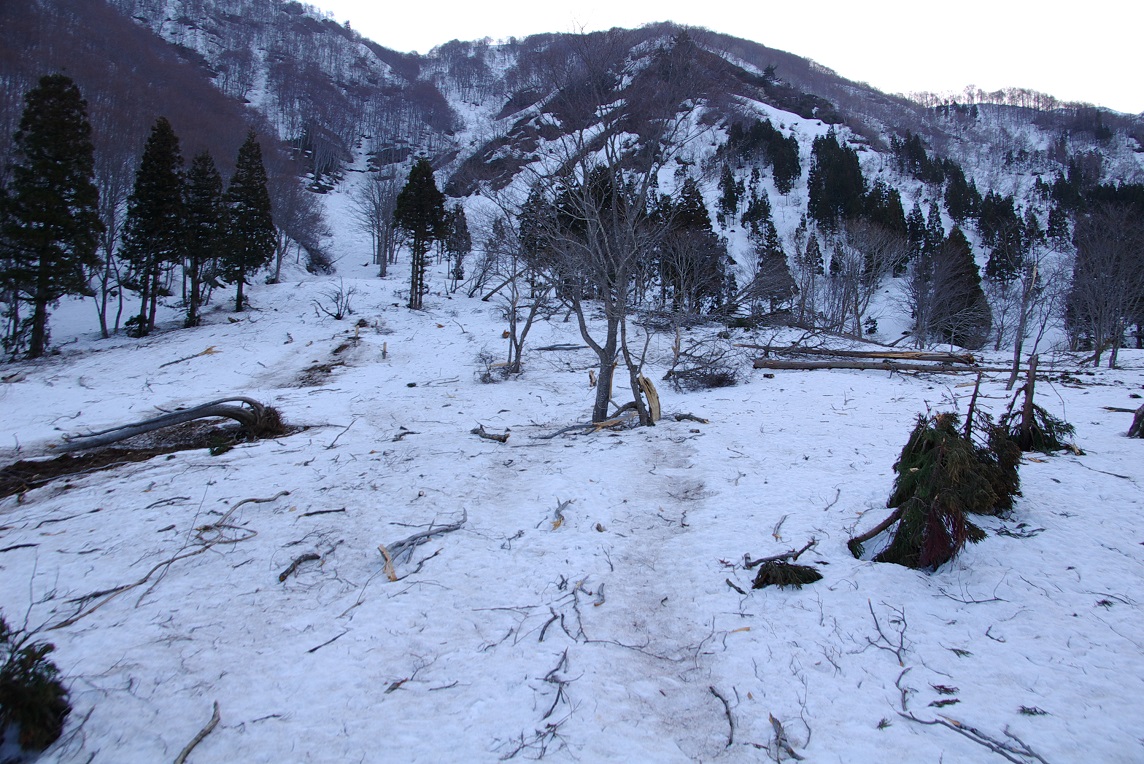 b0062024_19304858.jpg