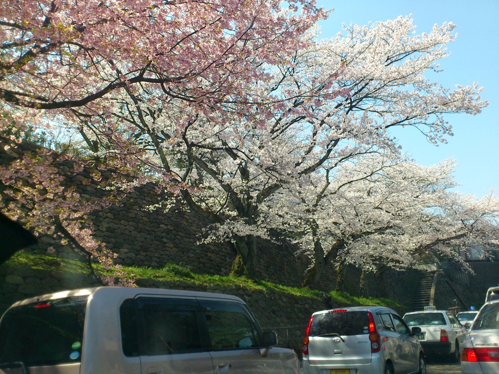 　　チョー渋滞_c0220824_16302835.jpg