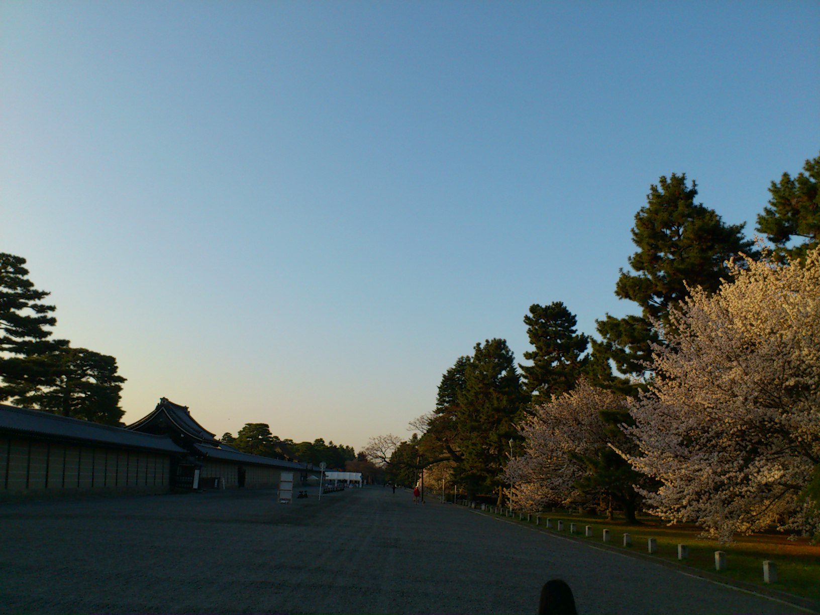 e0128024_1142746.jpg