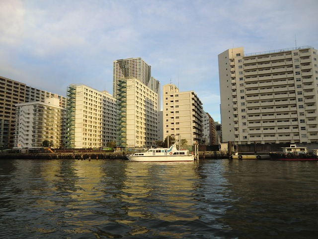 a0006033_9202548.jpg