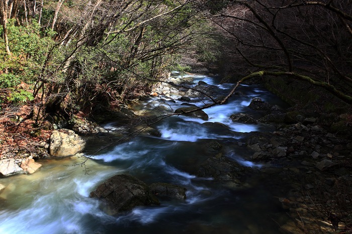 赤西渓谷_a0294534_20482534.jpg