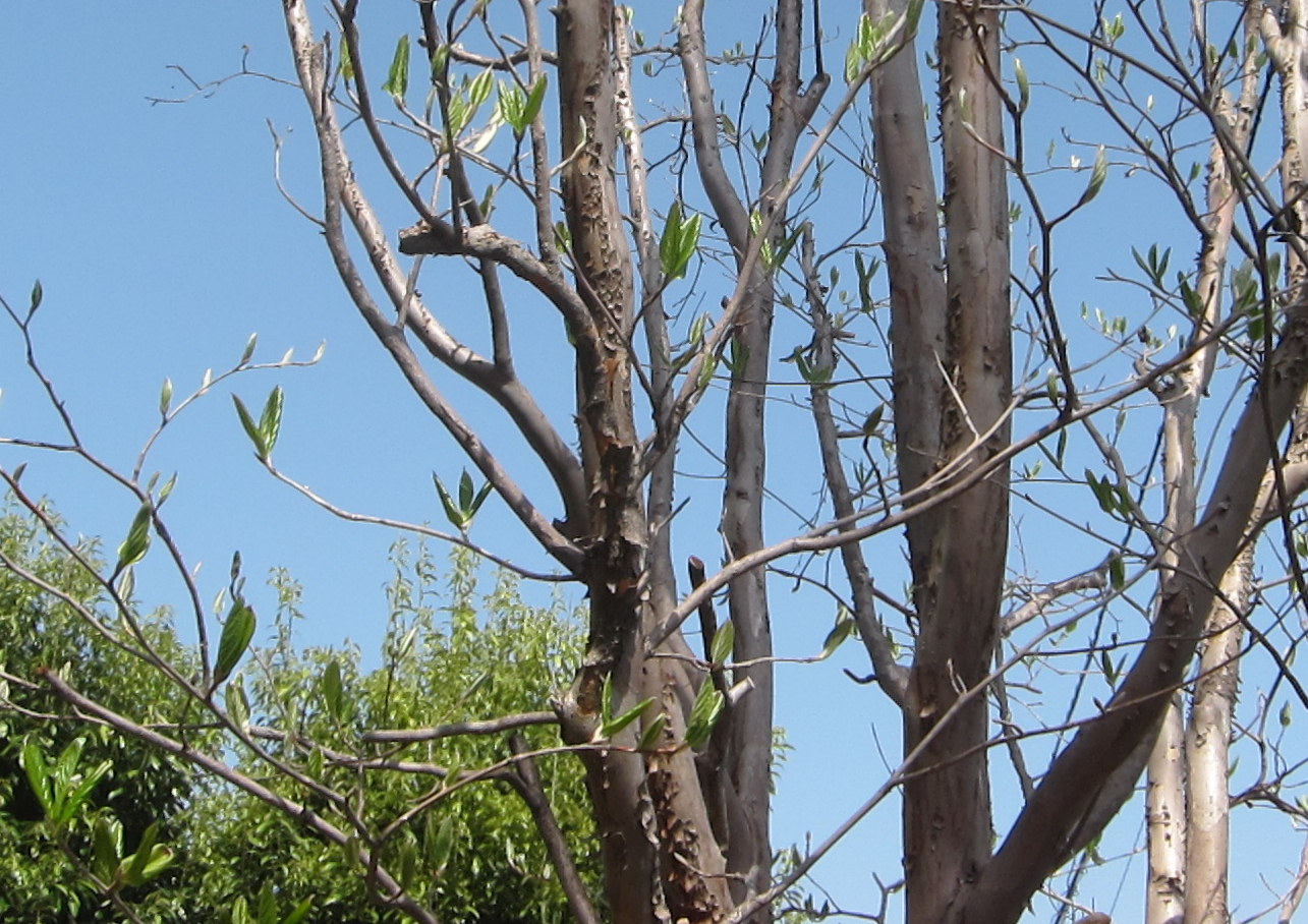 b0178339_20595013.jpg