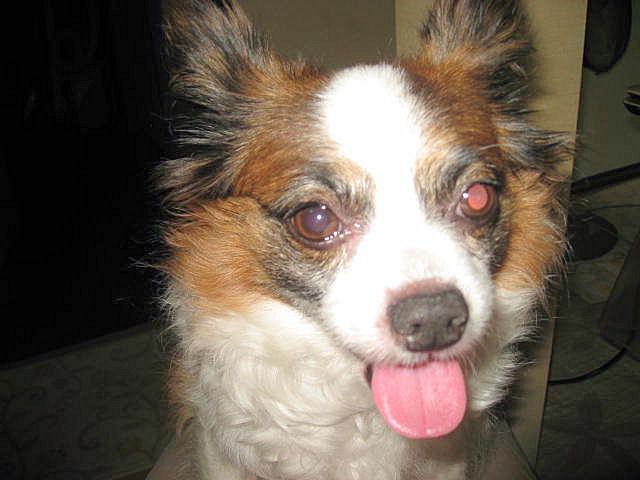 a0149240_1424626.jpg