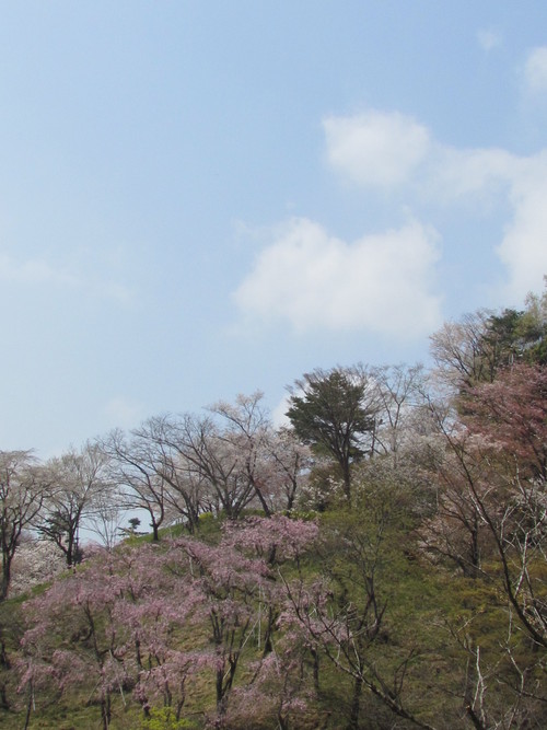 ４月５日　　初夏の気配ですね。_f0117041_14413944.jpg