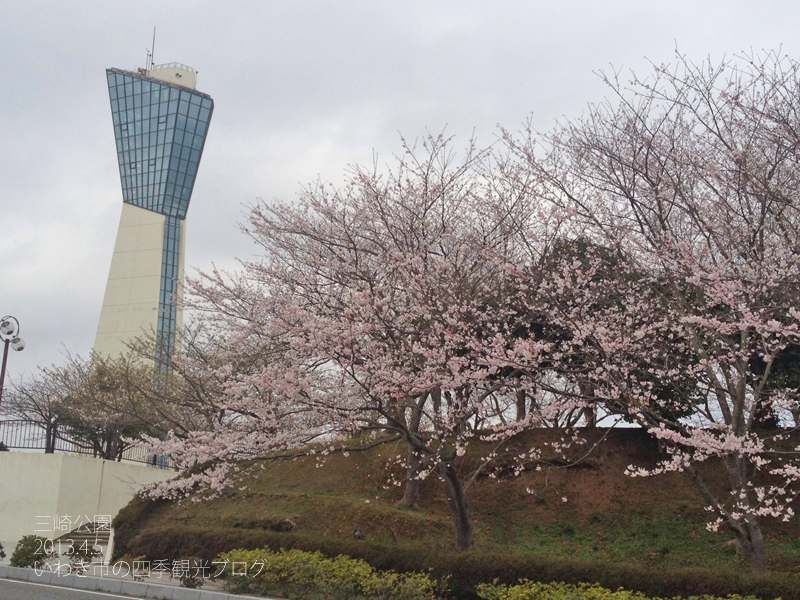 4月5日 金 小名浜地区のサクラ 三崎公園 大畑公園 いわき市の四季観光ブログ 4月5日 金 小名浜地区のサクラ 三崎公園 大畑公園 いわき市の四季観光ブログ