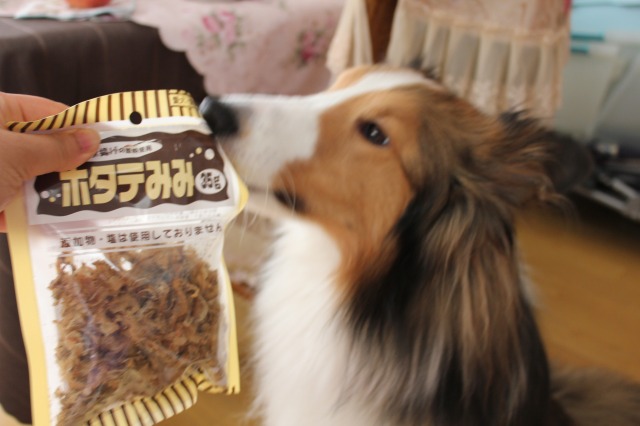 皆がやっていると思っていた芸☆嗅いで嗅いで~♪_e0195743_15231028.jpg