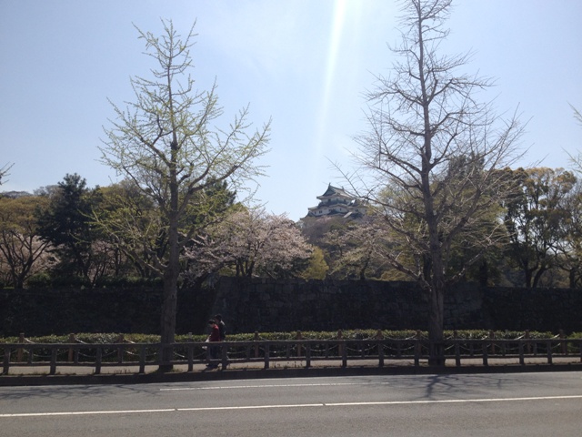 Wakayama Castle_e0046748_142482.jpg