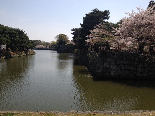 Wakayama Castle_e0046748_1432258.jpg