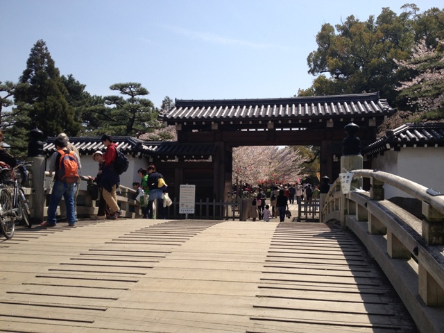 Wakayama Castle_e0046748_1433484.jpg