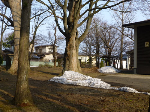 b0238249_2042615.jpg