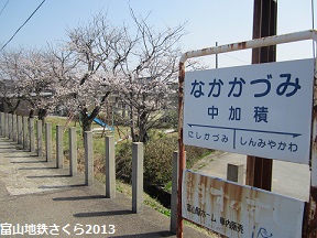 富山地鉄のさくらマップ2013@中加積駅_a0243562_13422968.jpg