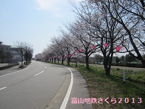 富山地鉄のさくらマップ2013@越中舟橋駅_a0243562_14542722.jpg