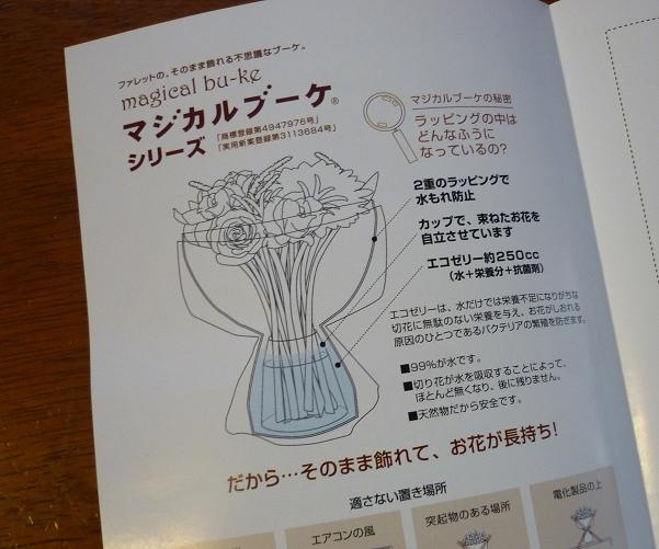 大阪のお出かけの覚書/生徒さんの作品(進化した桜）_d0146162_839727.jpg