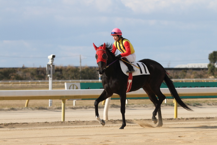 2011年12月23日（金） 荒尾競馬 7R 第11回プリンセス賞九州 2歳牝馬オープン その1_a0077663_6255245.jpg