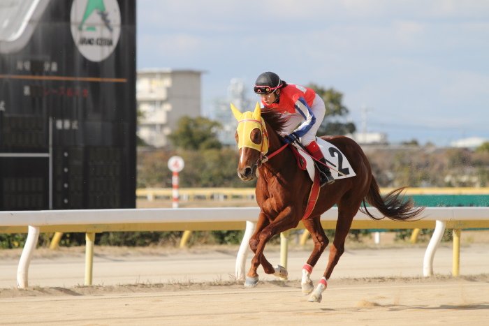 2011年12月23日（金） 荒尾競馬 7R 第11回プリンセス賞九州 2歳牝馬オープン その1_a0077663_6255445.jpg