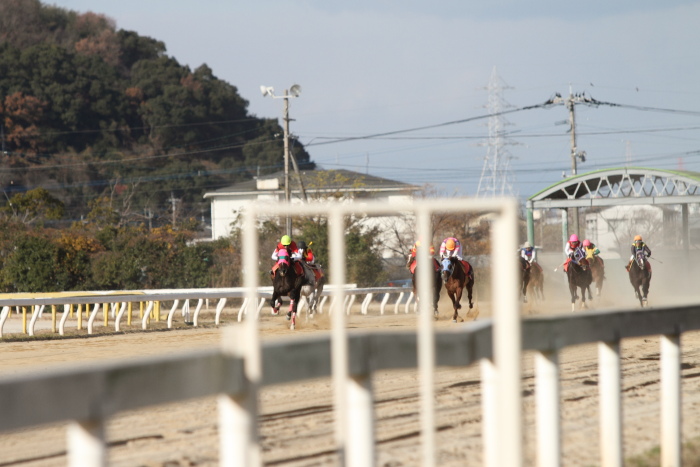 2011年12月23日（金） 荒尾競馬 8R 九州スポーツ杯 第6回 肥後の国グランプリ オープン その2_a0077663_781696.jpg