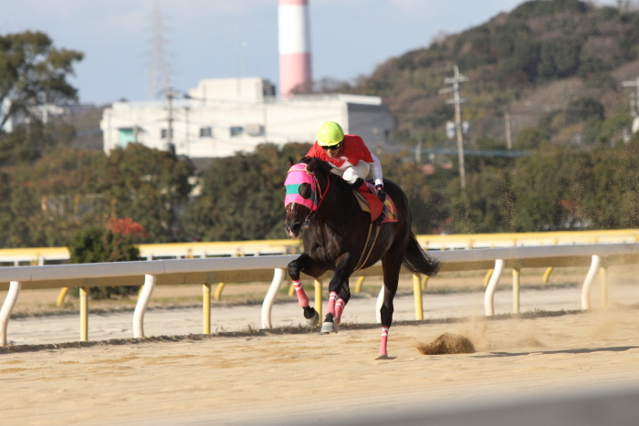 2011年12月23日（金） 荒尾競馬 8R 九州スポーツ杯 第6回 肥後の国グランプリ オープン その2_a0077663_782685.jpg