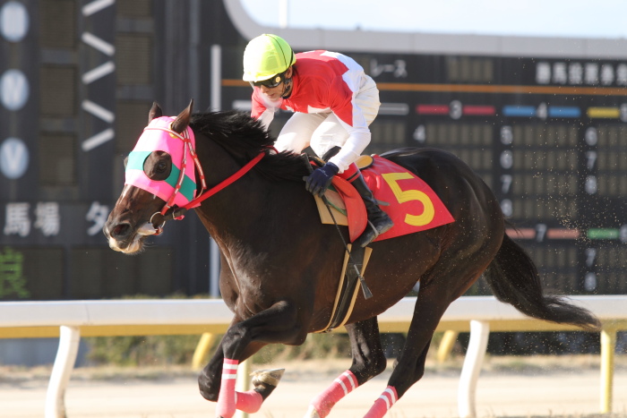 2011年12月23日(金) 荒尾競馬 8R 九州スポーツ杯 第6回 肥後の国グランプリ オープン その2_a0077663_782841.jpg