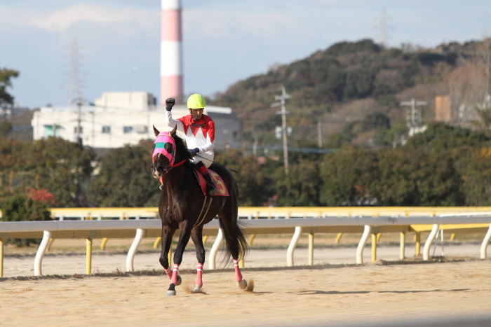 2011年12月23日（金） 荒尾競馬 8R 九州スポーツ杯 第6回 肥後の国グランプリ オープン その2_a0077663_783019.jpg