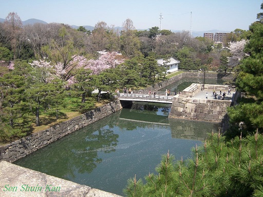 二条城の枝垂れ桜　2013年4月5日_a0164068_23155081.jpg