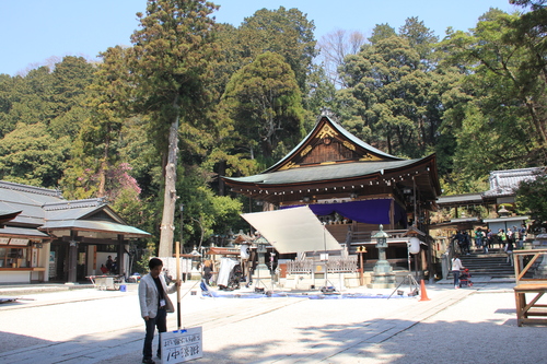 近江八幡と山科の桜_f0259373_17211359.jpg