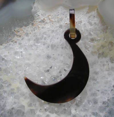 べっ甲、水もく その5_e0200879_17375084.jpg