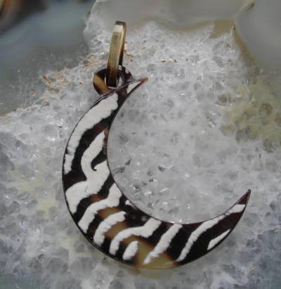 べっ甲、水もく その5_e0200879_1738535.jpg