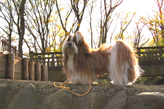 a0198883_22581910.jpg