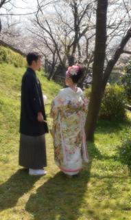 いい光が至る所に.....緑も綺麗だったし....何本かあった八重桜も...._b0194185_22575141.jpg