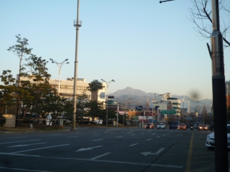 b0197486_16381617.jpg