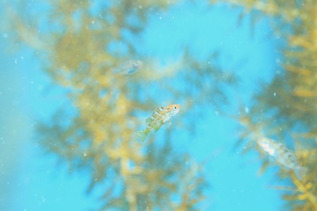 f0151886_17202658.jpg