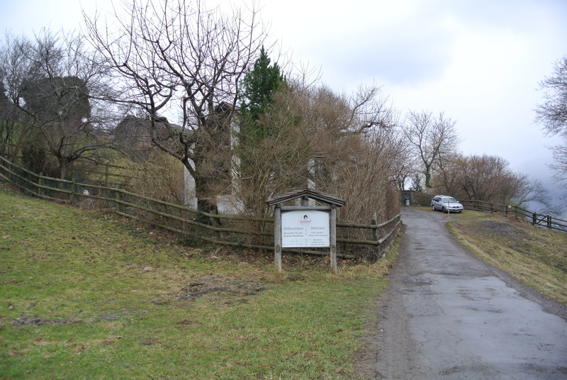c0025187_19382.jpg