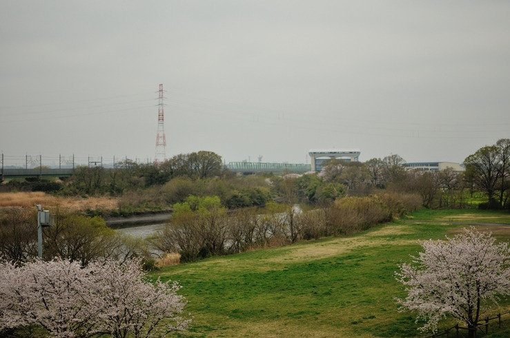 b0217090_20234921.jpg