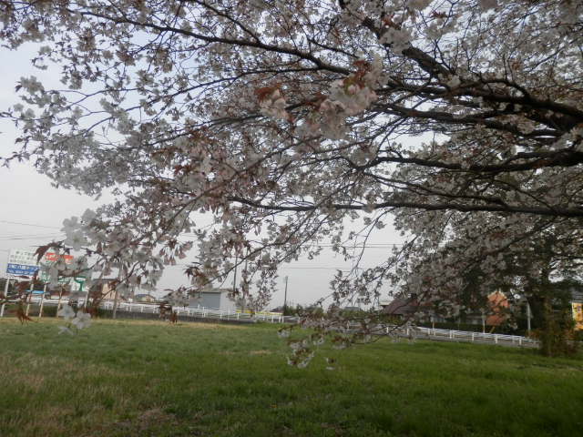 a0275492_4284193.jpg
