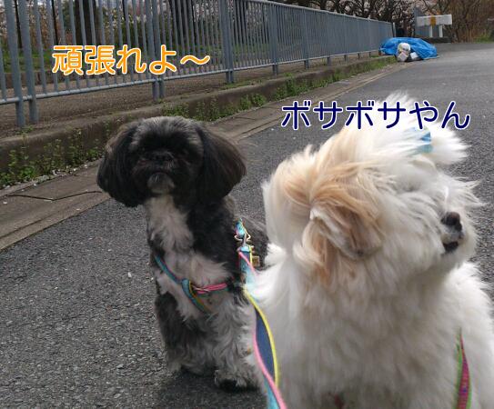 b0237894_20131222.png