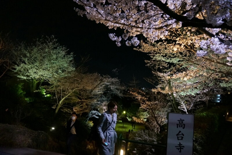 京都へお花見その⑥25.3_e0126094_19534798.jpg