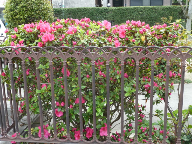 f0166694_19224085.jpg