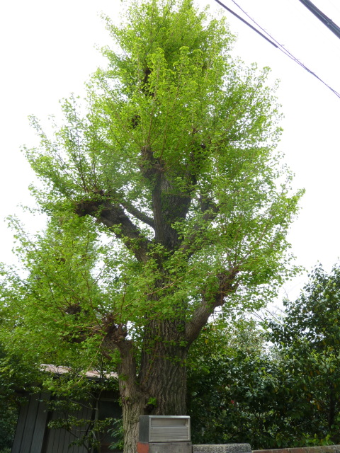 f0166694_1924186.jpg
