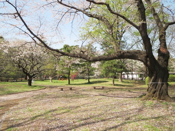e0025596_1103484.jpg