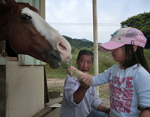 幼児バス遠足（田平昆虫園＆体験乗馬）_d0135997_167559.jpg