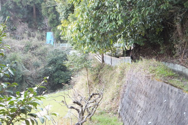 b0212898_1583688.jpg