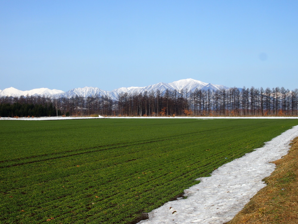 4月、雪どけ進む・・中札内村の農村風景_f0276498_11594100.jpg