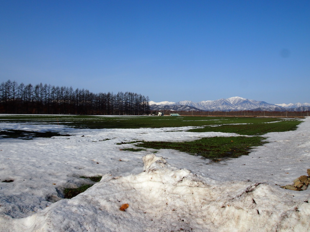 4月、雪どけ進む・・中札内村の農村風景_f0276498_12113545.jpg